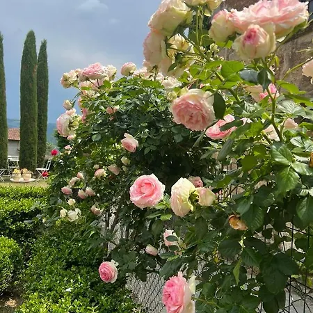 Alloggio in famiglia Palazzo Bonaiuti Venturi *